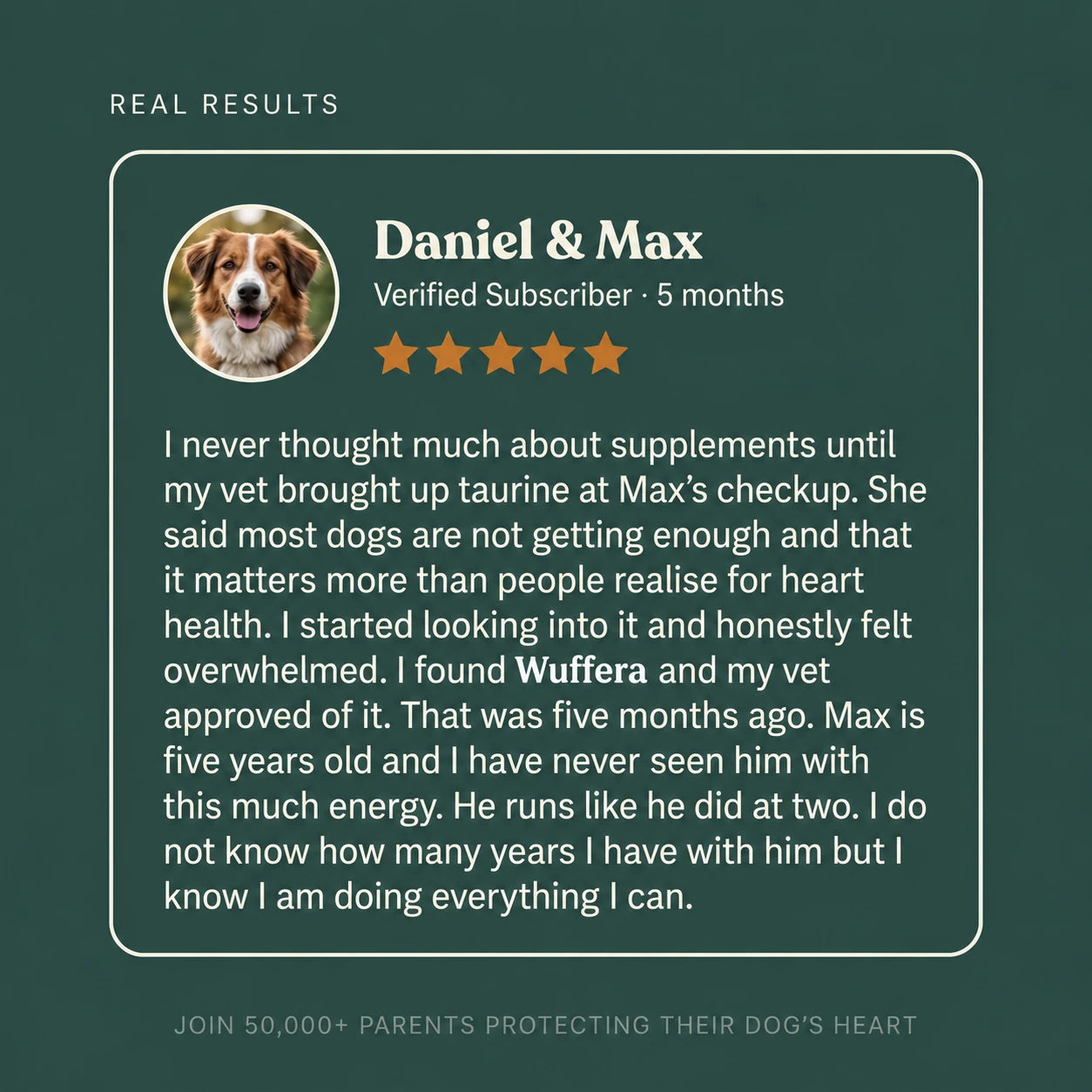 Wuffera Taurine