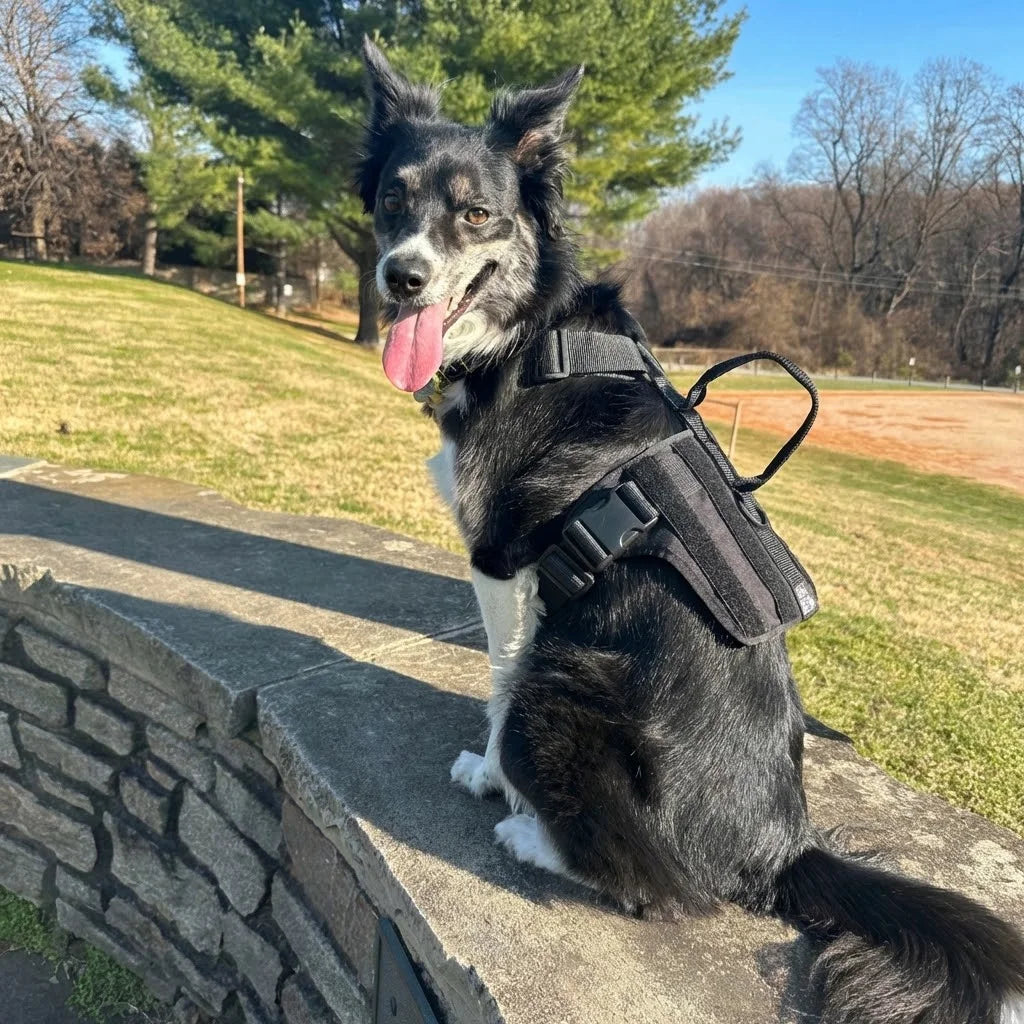 Wuffera feature 4